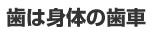 歯は身体の歯車